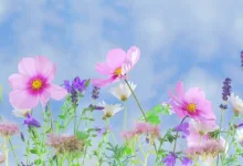 Bitcoin über 90.000 Dollar: Stabilität oder Illusion?