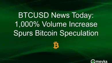 Bitcoin-Handelsvolumen steigt um 1.000%: Chancen und Risiken