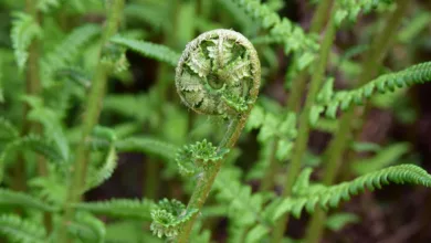 Kryptomarkt im Umbruch: Bitcoin-Pessimismus wächst rasant