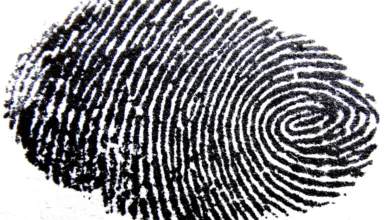 Marktpsychologie und Bitcoin: Angst als Kaufchance erkennen