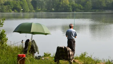 Bitcoin-Kurs bleibt stabil: Trump und die Fed stärken Vertrauen