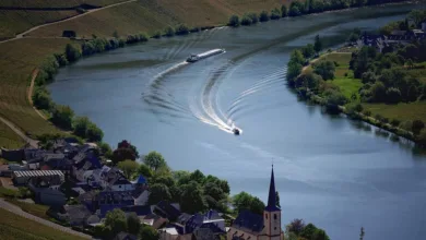 Neuorganisation bei Crypto Flow Technology Limited: Führungswechsel