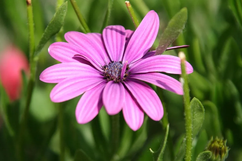 Massive Entlassungen in den USA: Künstliche Intelligenz als Ursache