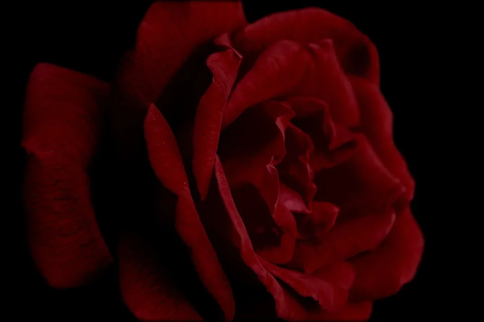 Wachstum im digitalen Asset Markt: HashStaking im Fokus