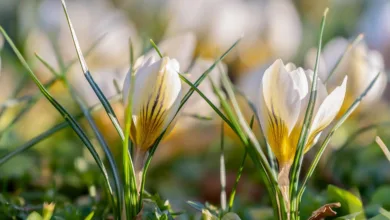 GTHUSD: Stabilität oder Vorbote spannender Veränderungen?