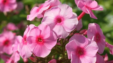 Kryptomarkt unter Druck: Ursachen der panischen Stimmung