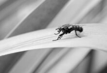 Kryptowährungen und die SEC: Risiken für Investoren im Fokus