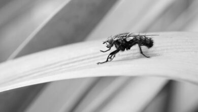 Kryptowährungen und die SEC: Risiken für Investoren im Fokus