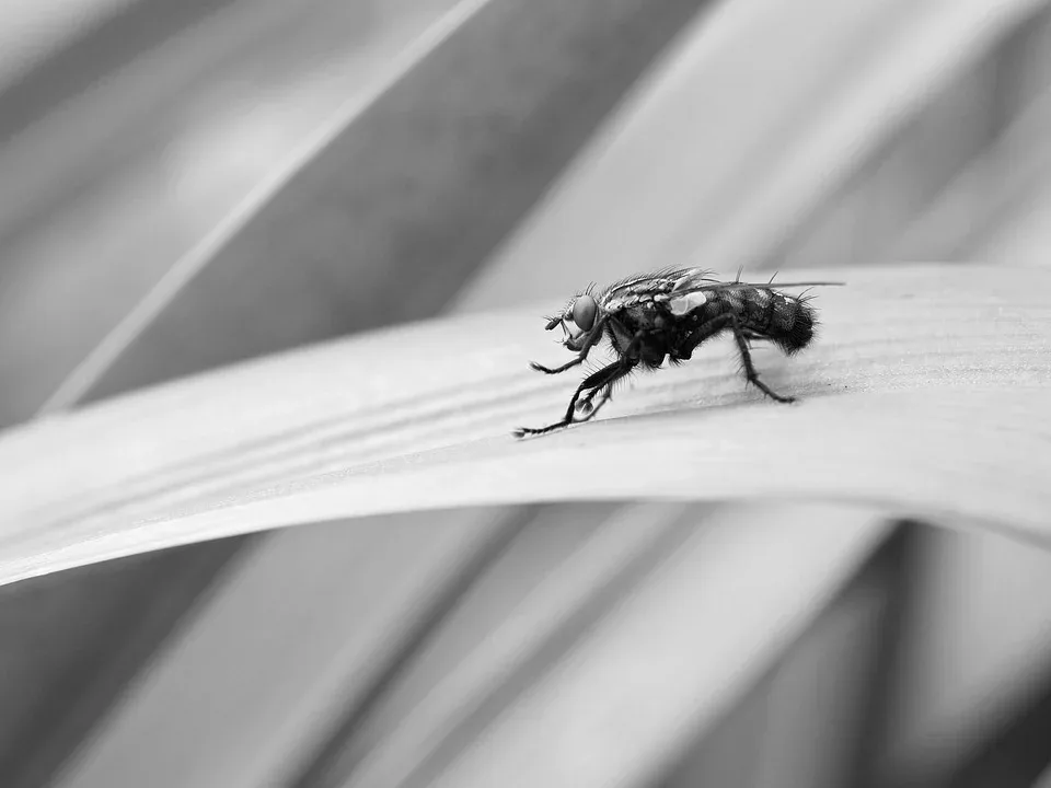 Kryptowährungen und die SEC: Risiken für Investoren im Fokus