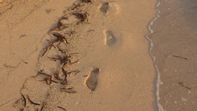 Coinbase und BVNK: Ein großer Schritt in der Krypto-Zukunft