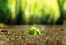 Bitcoin finden langsam neuen Halt: Zukunft des Marktes im Blick