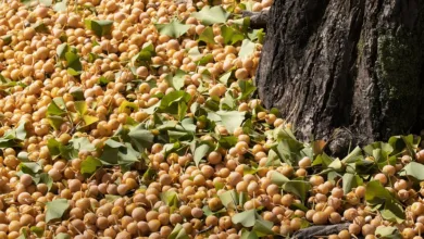 KI-Handelsbots im Praxistest: Überraschende Ergebnisse aus Asien