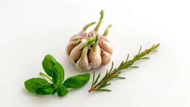 Marktmisere: Anleger angesichts wachsender Unsicherheit besorgt