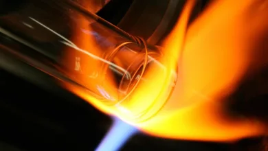 Zukunftsweisendes Experiment: Digitale Zuwendungen für New Yorker