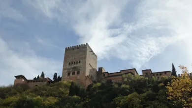 Bitcoins November: Ein möglicher Wendepunkt für Anleger