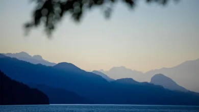 Brett Harrison kritisiert riskante Hebelmöglichkeiten im Handel