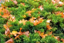 Krypto-Märkte im Umbruch: Neue Chancen und Kontraste