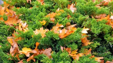 Krypto-Märkte im Umbruch: Neue Chancen und Kontraste