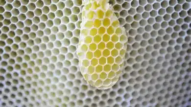 Ermittlungen gegen Basis Markets: Anleger fordern Rückzahlungen