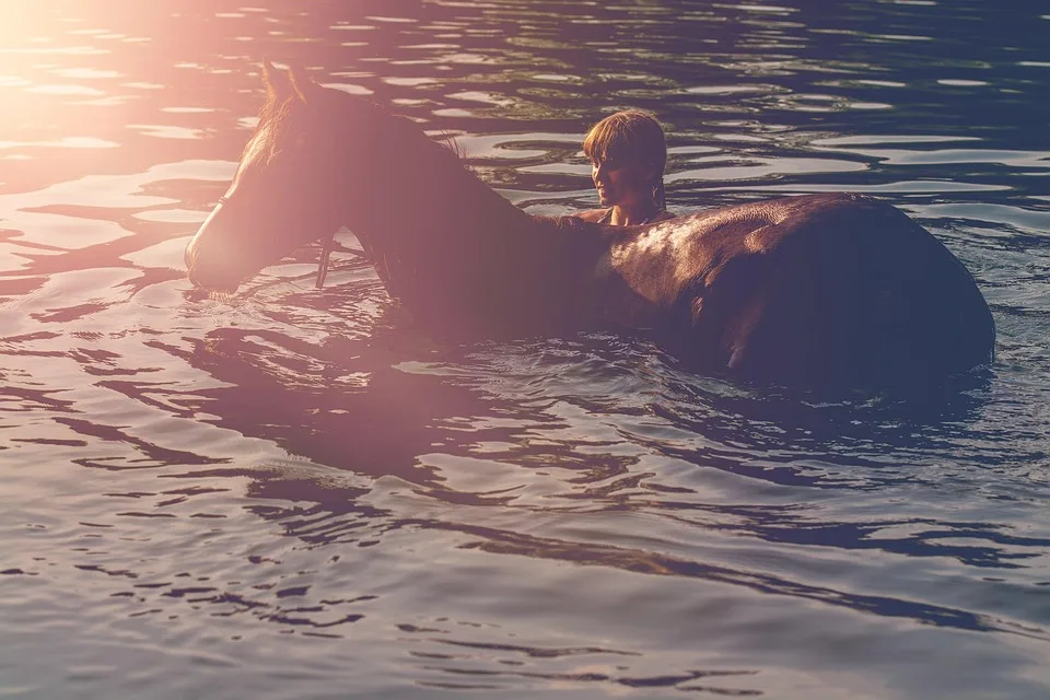 Krypto-Krise bei MEXC: Vertrauen der Nutzer verspielt