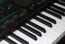 Shiba Inu und Zama: Schlüssel zur Krypto-Zukunft in 2026