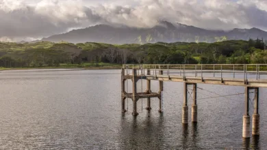 XRP-Kurs unter Druck: Ripple-ETFs erreichen 500 Millionen Dollar