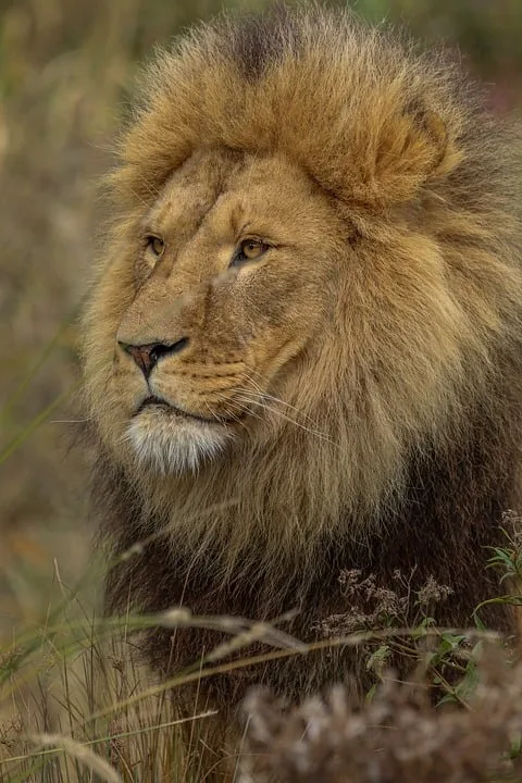 Bitcoin im Fokus: So investieren große Akteure clever