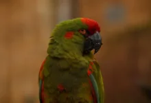 Quantencomputer und Bitcoin: Eine neue Ära der Investitionen?