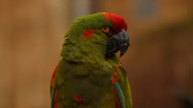 Quantencomputer und Bitcoin: Eine neue Ära der Investitionen?