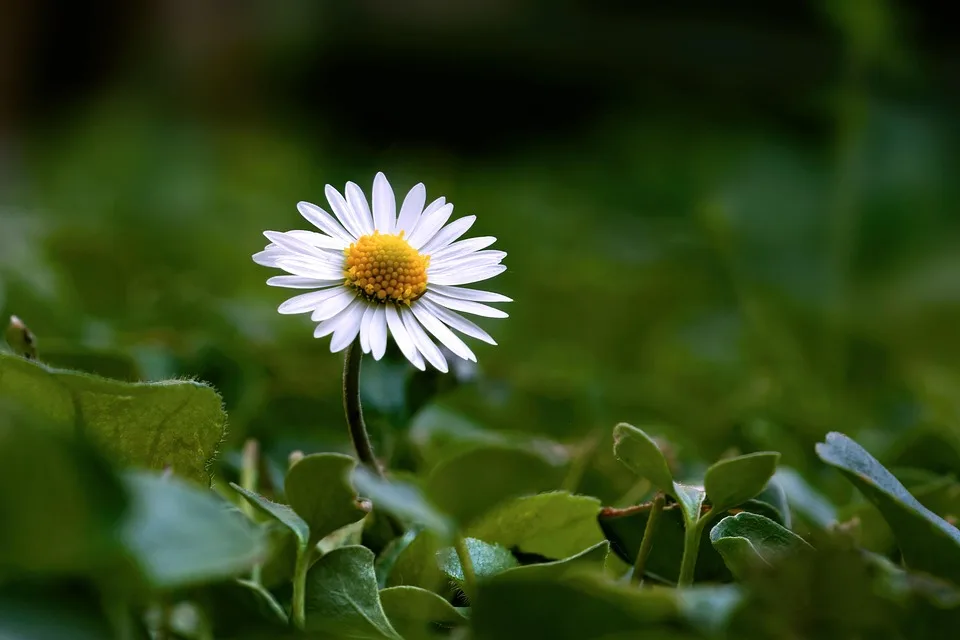 Gemeinsames Krypto-Sandbox-Projekt zwischen UK und USA