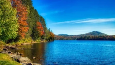 Kryptomarkt im Abwärtstrend: Bitcoin fällt auf 96.000 Dollar