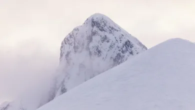 Solana ETFs: Neue Wege für institutionelle Anleger im Krypto-Markt