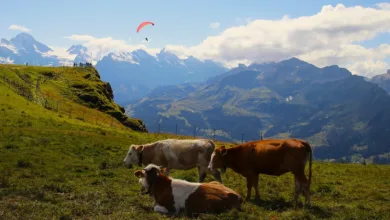 Kryptowährungen verständlich machen: Bildung als Schlüssel zum Erfolg
