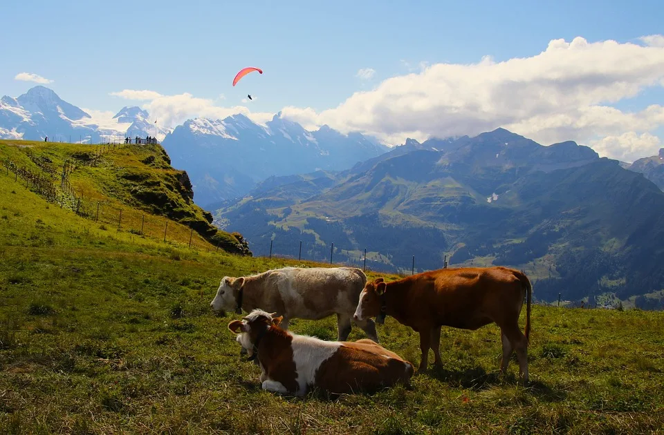 Kryptowährungen verständlich machen: Bildung als Schlüssel zum Erfolg