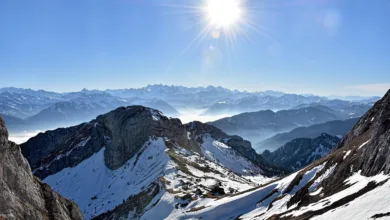 Bitcoin und Krypto-Trends: Ein Blick auf die neue Marktstimmung