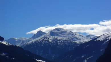 Memecoins auf Solana: Dramatischer Rückgang des Handelsvolumens