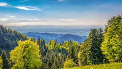 Fed pumpt 30 Milliarden Dollar in die Wirtschaft: Auswirkungen für Bitcoin und Märkte