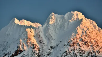 Uniswap übertrifft die Top 30: Wichtige Entwicklungen der Woche