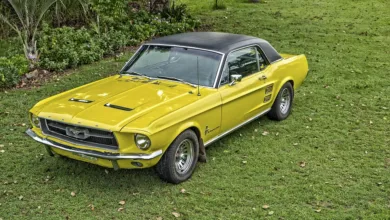 Zukunft der Kryptowährungen: Fed-Zinssenkung in Aussicht