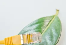 Pi Network erholt sich: CiDi Games Partnerschaft stärkt Kurs