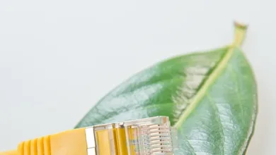 Pi Network erholt sich: CiDi Games Partnerschaft stärkt Kurs