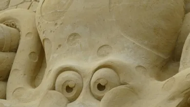 Bitcoin-Verfall: Von Rekorden zu Marktrückschlägen