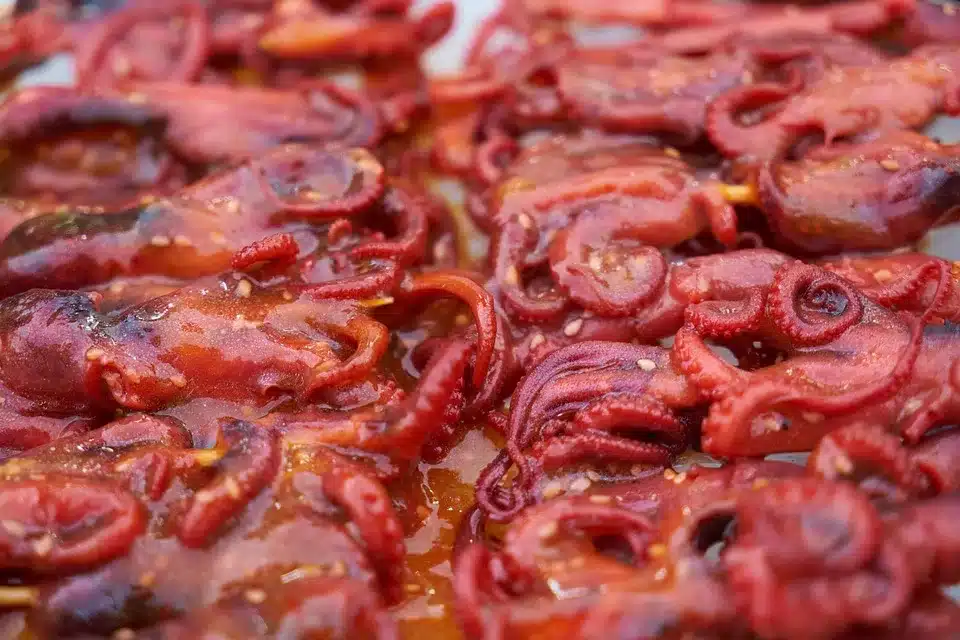 Kraken macht Schritt Richtung IPO: Neue Investoren an Bord