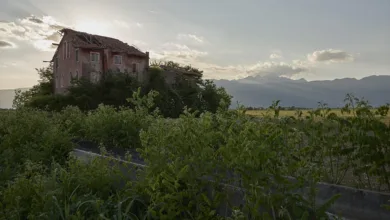 Künftige Entwicklung des XRP-Kurses: Prognosen für 2028