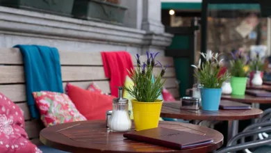 Metaplanet-Aktien im freien Fall: Risiken und Chancen analysiert