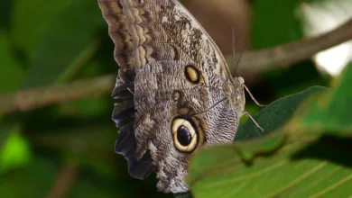 Ethereum-Update: Größte Änderungen stehen kurz bevor