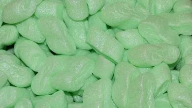 Kryptomarkt erholt sich leicht: Top-Coins im Fokus