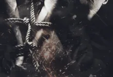 Zcash-Börsenfonds: Genehmigung bleibt ungewiss für Grayscale