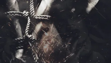 Zcash-Börsenfonds: Genehmigung bleibt ungewiss für Grayscale