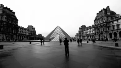 Solana setzt neue Maßstäbe mit beeindruckendem ETF-Start